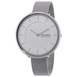 FX04486B NWT Skagen Fashion Ladies Quartz Steel Authentic Watch